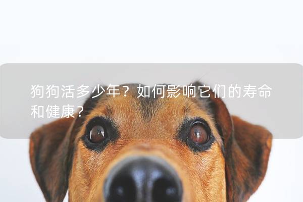 狗狗活多少年?如何影响它们的寿命和健康? 狗狗活多少年?如何影响它们的寿命和健康?
