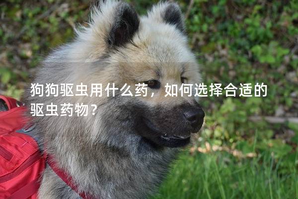狗狗驱虫用什么药，如何选择合适的驱虫药物？