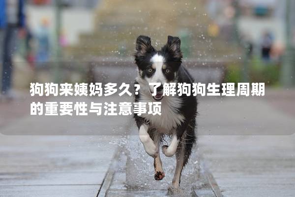 狗狗来姨妈多久？了解狗狗生理周期的重要性与注意事项