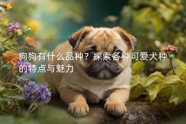 狗狗有什么品种？探索各种可爱犬种的特点与魅力