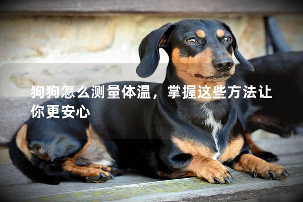 狗狗怎么测量体温，掌握这些方法让你更安心