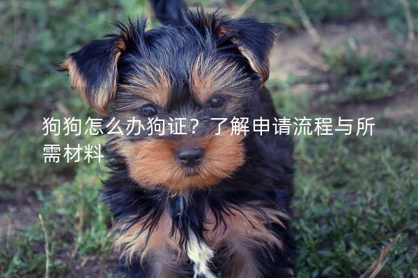 狗狗怎么办狗证？了解申请流程与所需材料