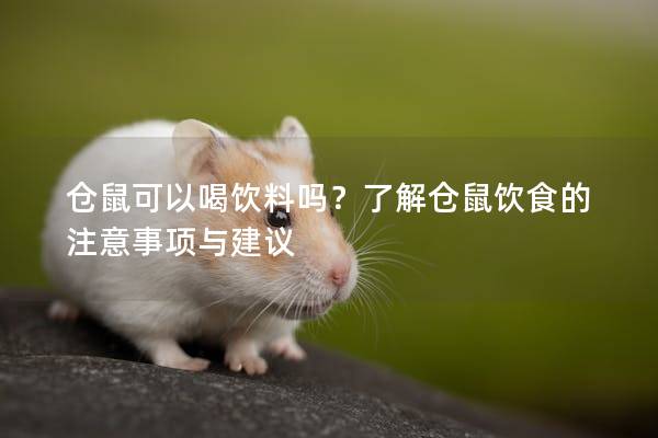 仓鼠可以喝饮料吗？了解仓鼠饮食的注意事项与建议