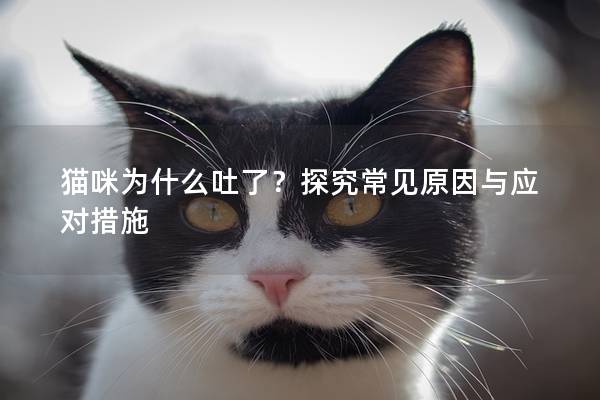 猫咪为什么吐了？探究常见原因与应对措施