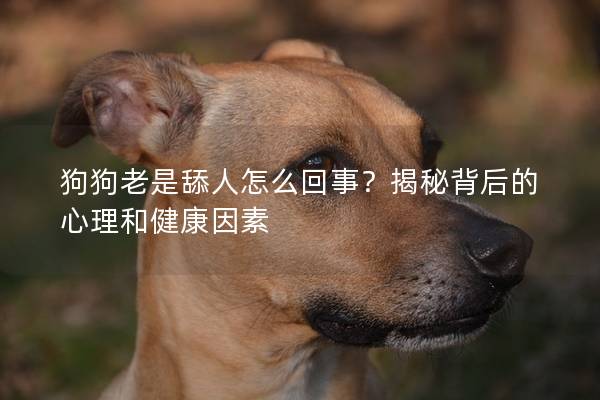 狗狗老是舔人怎么回事？揭秘背后的心理和健康因素
