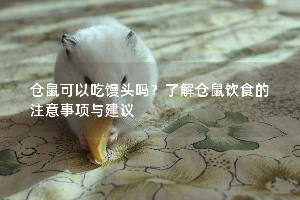 仓鼠可以吃馒头吗？了解仓鼠饮食的注意事项与建议