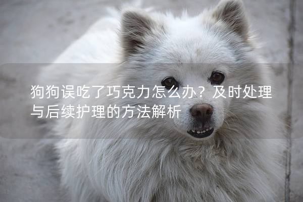 狗狗误吃了巧克力怎么办？及时处理与后续护理的方法解析