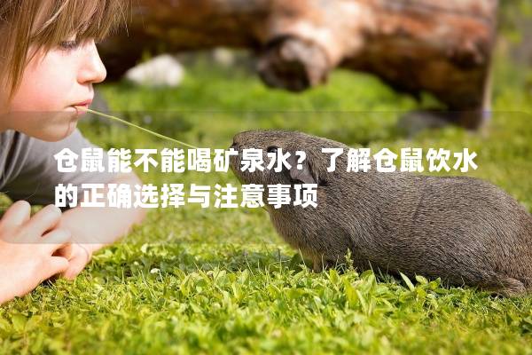 仓鼠能不能喝矿泉水？了解仓鼠饮水的正确选择与注意事项