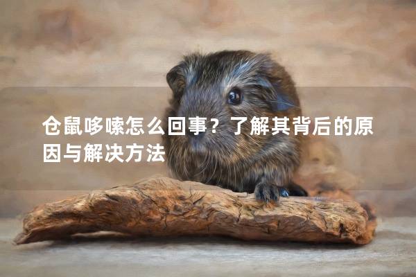 仓鼠哆嗦怎么回事？了解其背后的原因与解决方法