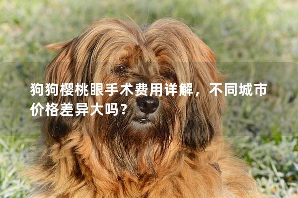 狗狗樱桃眼手术费用详解，不同城市价格差异大吗？