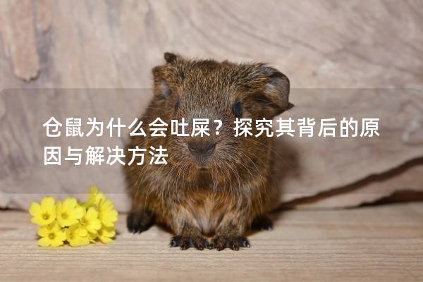 仓鼠为什么会吐屎？探究其背后的原因与解决方法