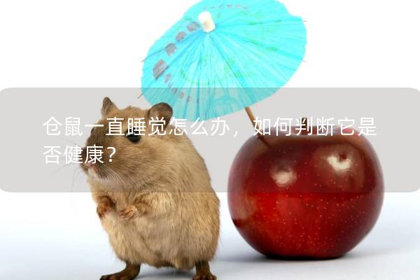 仓鼠一直睡觉怎么办，如何判断它是否健康？