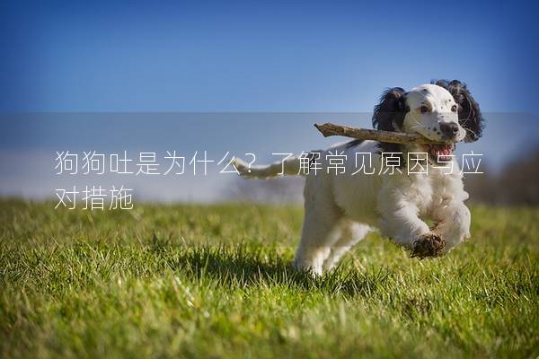狗狗吐是为什么?了解常见原因与应对措施 狗狗吐是为什么?了解常见原因与应对措施