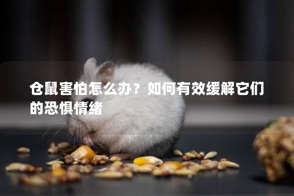 仓鼠害怕怎么办?如何有效缓解它们的恐惧情绪 仓鼠害怕怎么办?如何有效缓解它们的恐惧情绪