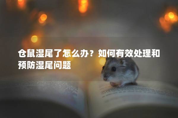 仓鼠湿尾了怎么办？如何有效处理和预防湿尾问题