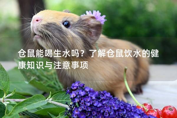 仓鼠能喝生水吗？了解仓鼠饮水的健康知识与注意事项