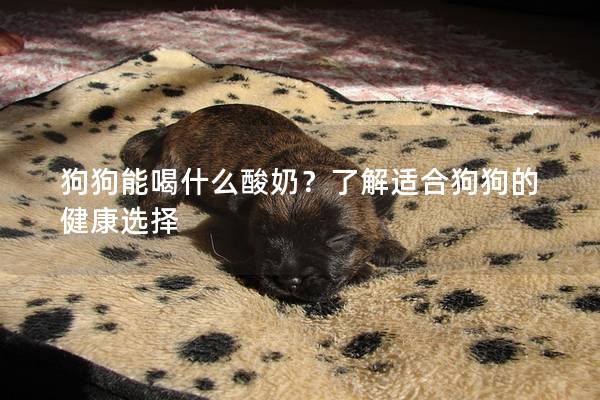 狗狗能喝什么酸奶？了解适合狗狗的健康选择