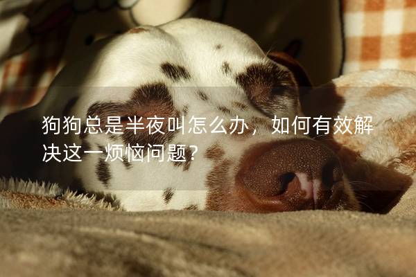 狗狗总是半夜叫怎么办，如何有效解决这一烦恼问题？