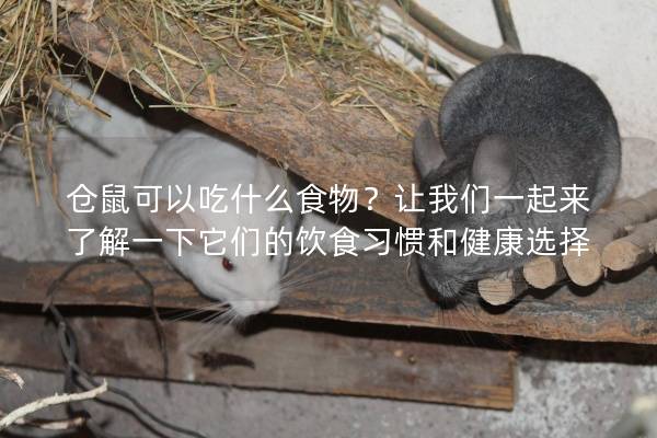 仓鼠可以吃什么食物？让我们一起来了解一下它们的饮食习惯和健康选择