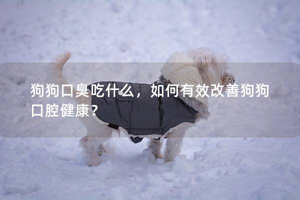 狗狗口臭吃什么，如何有效改善狗狗口腔健康？