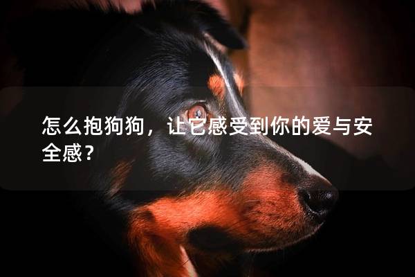 怎么抱狗狗,让它感受到你的爱与安全感? 怎么抱狗狗,让它感受到你的爱与安全感?