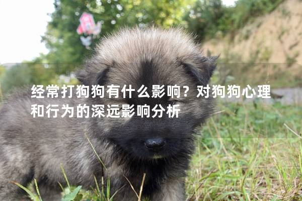 经常打狗狗有什么影响？对狗狗心理和行为的深远影响分析