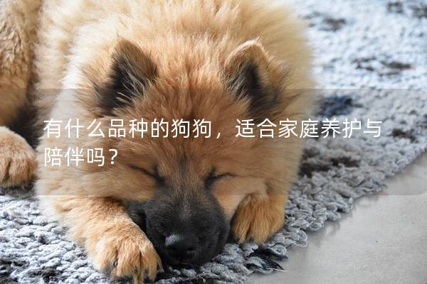 有什么品种的狗狗,适合家庭养护与陪伴吗? 有什么品种的狗狗,适合家庭养护与陪伴吗?