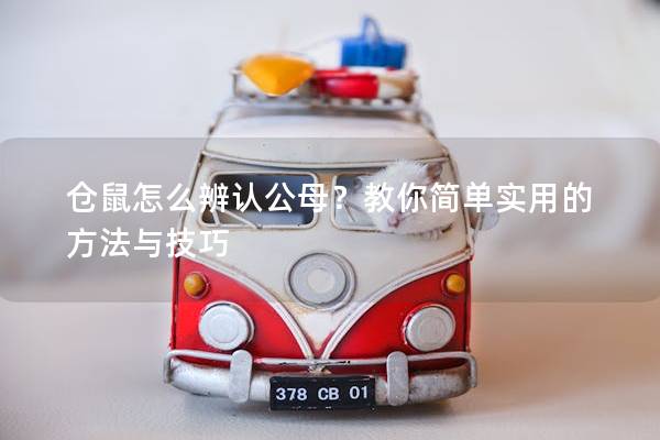 仓鼠怎么辨认公母？教你简单实用的方法与技巧