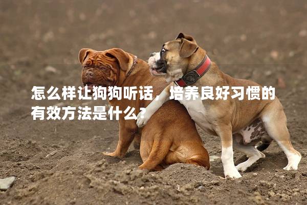 怎么样让狗狗听话，培养良好习惯的有效方法是什么？