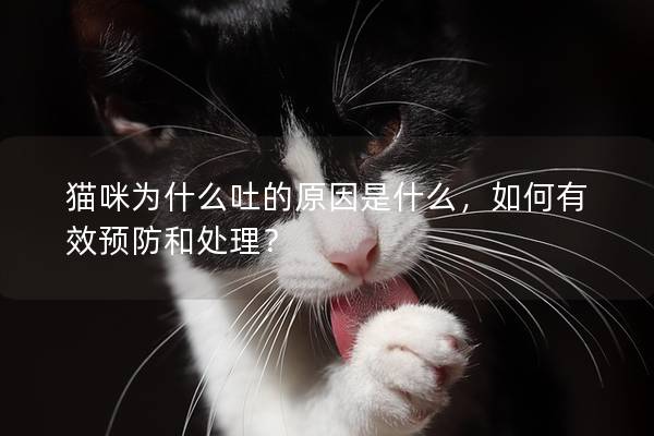 猫咪为什么吐的原因是什么，如何有效预防和处理？
