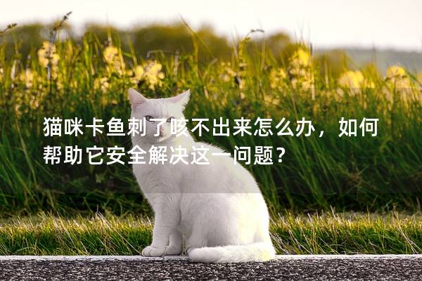 猫咪卡鱼刺了咳不出来怎么办，如何帮助它安全解决这一问题？