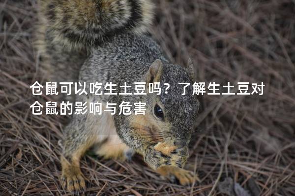 仓鼠可以吃生土豆吗？了解生土豆对仓鼠的影响与危害