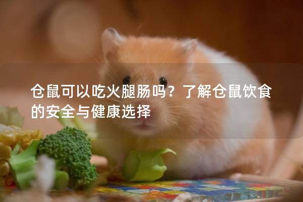 仓鼠可以吃火腿肠吗？了解仓鼠饮食的安全与健康选择