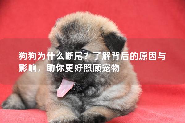 狗狗为什么断尾？了解背后的原因与影响，助你更好照顾宠物