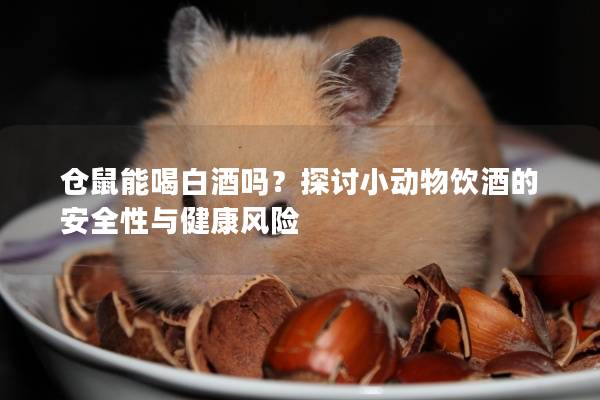 仓鼠能喝白酒吗？探讨小动物饮酒的安全性与健康风险