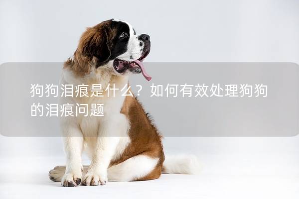 狗狗泪痕是什么?如何有效处理狗狗的泪痕问题 狗狗泪痕是什么?如何有效处理狗狗的泪痕问题