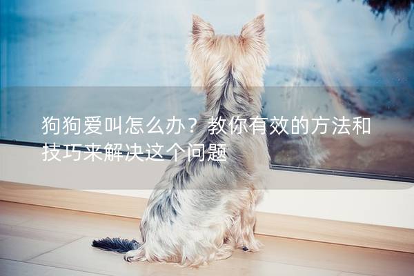 狗狗爱叫怎么办？教你有效的方法和技巧来解决这个问题