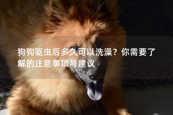 狗狗驱虫后多久可以洗澡？你需要了解的注意事项与建议