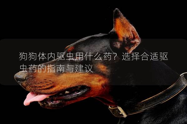 狗狗体内驱虫用什么药？选择合适驱虫药的指南与建议