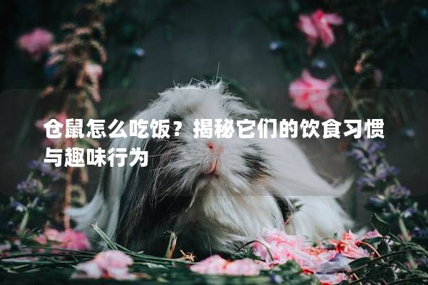 仓鼠怎么吃饭?揭秘它们的饮食习惯与趣味行为 仓鼠怎么吃饭?揭秘它们的饮食习惯与趣味行为