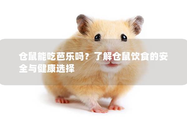 仓鼠能吃芭乐吗?了解仓鼠饮食的安全与健康选择 仓鼠能吃芭乐吗?了解仓鼠饮食的安全与健康选择