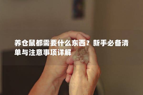 养仓鼠都需要什么东西？新手必备清单与注意事项详解