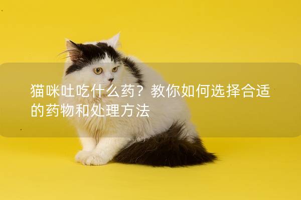 猫咪吐吃什么药？教你如何选择合适的药物和处理方法