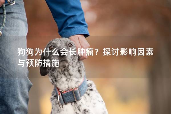 狗狗为什么会长肿瘤?探讨影响因素与预防措施 狗狗为什么会长肿瘤?探讨影响因素与预防措施