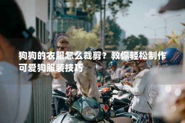 狗狗的衣服怎么裁剪？教你轻松制作可爱狗服装技巧