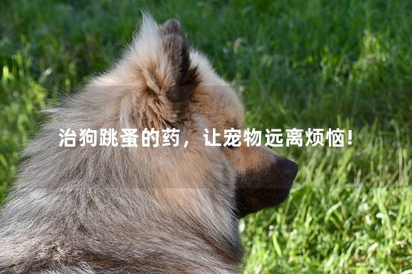 治狗跳蚤的药,让宠物远离烦恼! 治狗跳蚤的药,让宠物远离烦恼!