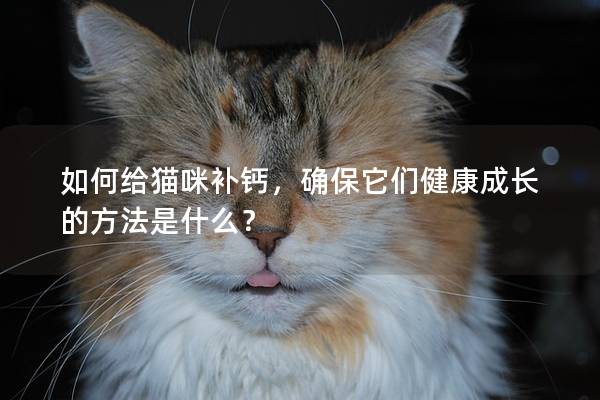 如何给猫咪补钙，确保它们健康成长的方法是什么？