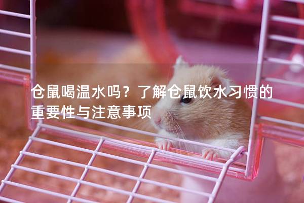仓鼠喝温水吗？了解仓鼠饮水习惯的重要性与注意事项