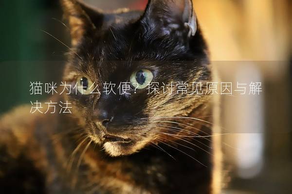 猫咪为什么软便？探讨常见原因与解决方法