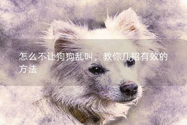 怎么不让狗狗乱叫，教你几招有效的方法